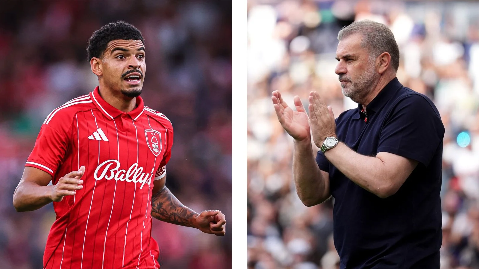 Ange Postecoglou has been appointed as new Nottingham Forest head coach.